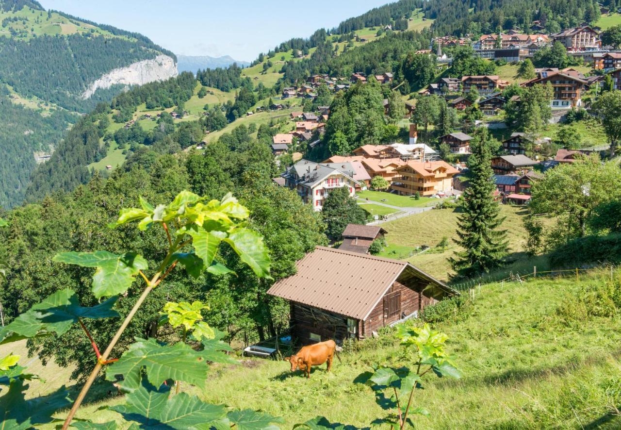 Panoramapark Soleil Chalet B Wengen Exterior photo
